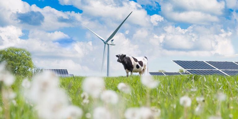 bron: solar365.nl