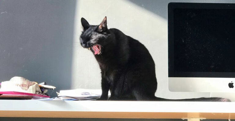 bron: bright.nl