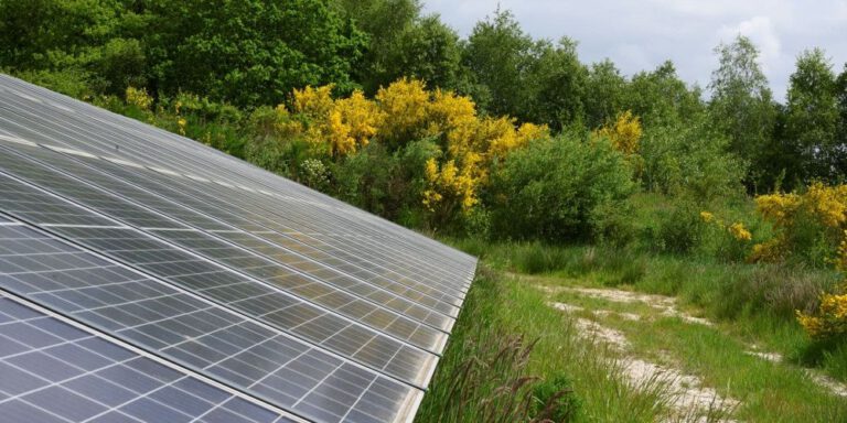 bron: solar365.nl