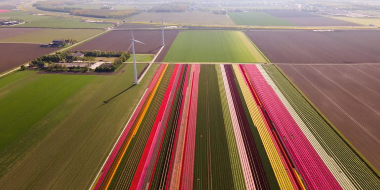 bron: solar365.nl