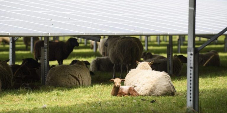 bron: solar365.nl